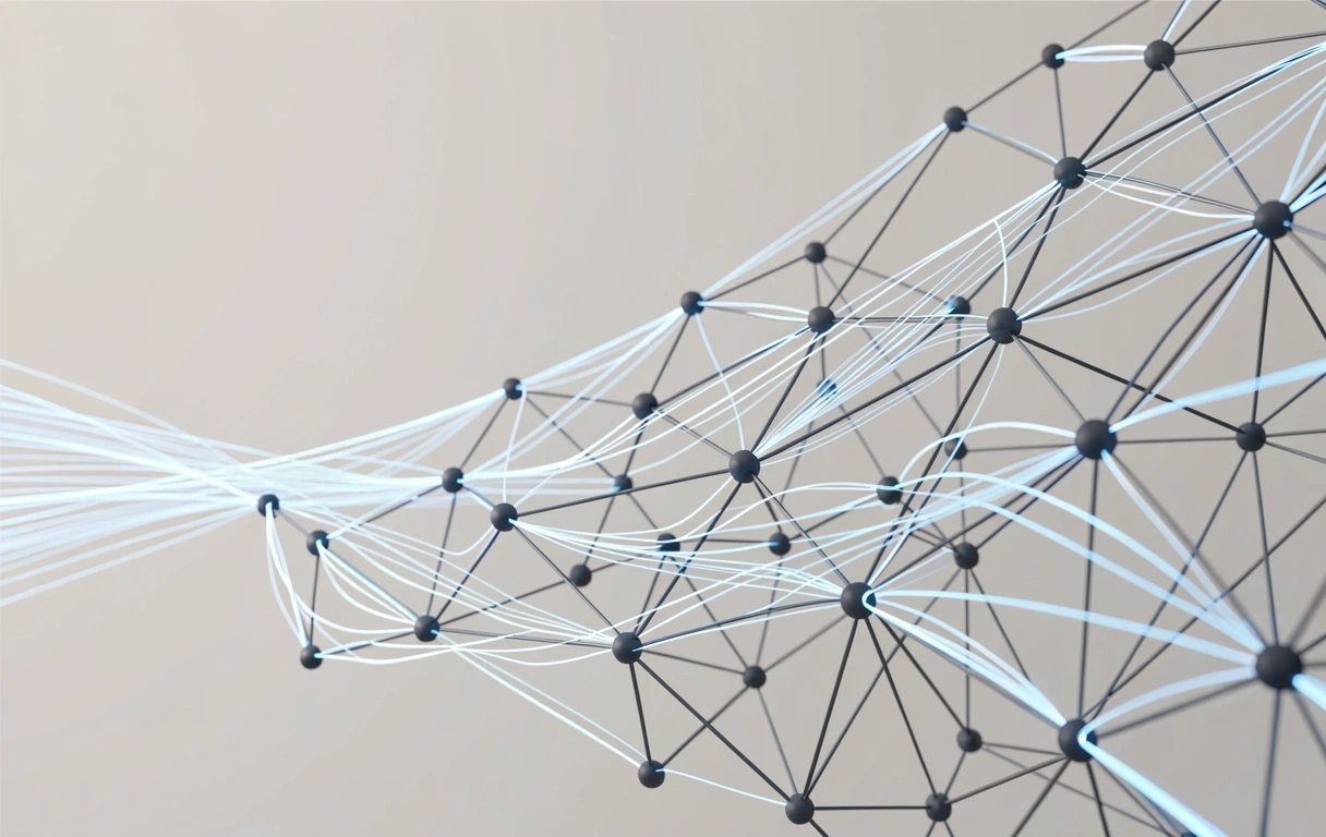 Data connectivity web